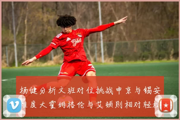 杨健分析文班对位挑战申京与锡安难度大霍姆格伦与艾顿则相对轻松